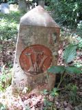image of grave number 339227